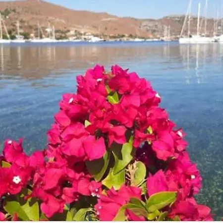 Defne Selimiye Appartement