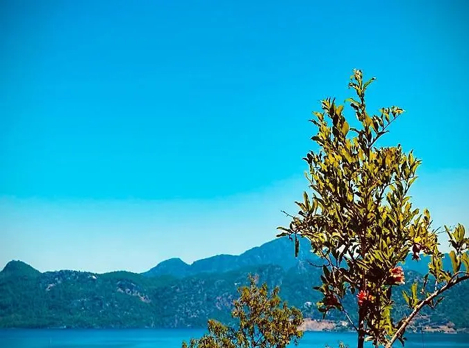 Defne Selimiye Lägenhet Marmaris