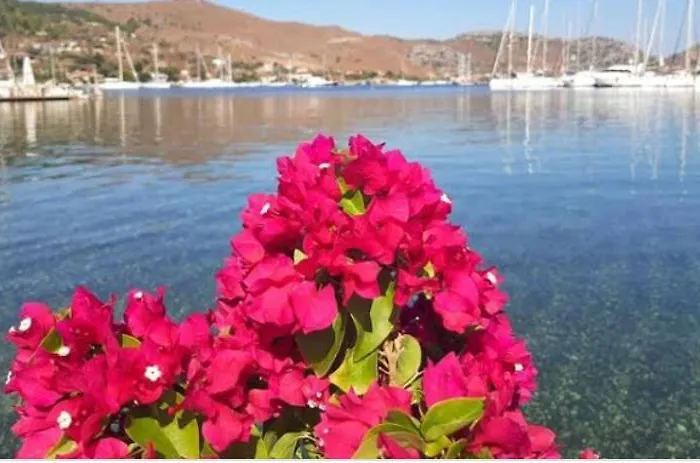 Defne Selimiye Apartmán